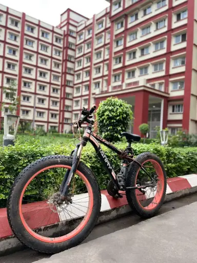 Avon Fat cycle heavy price